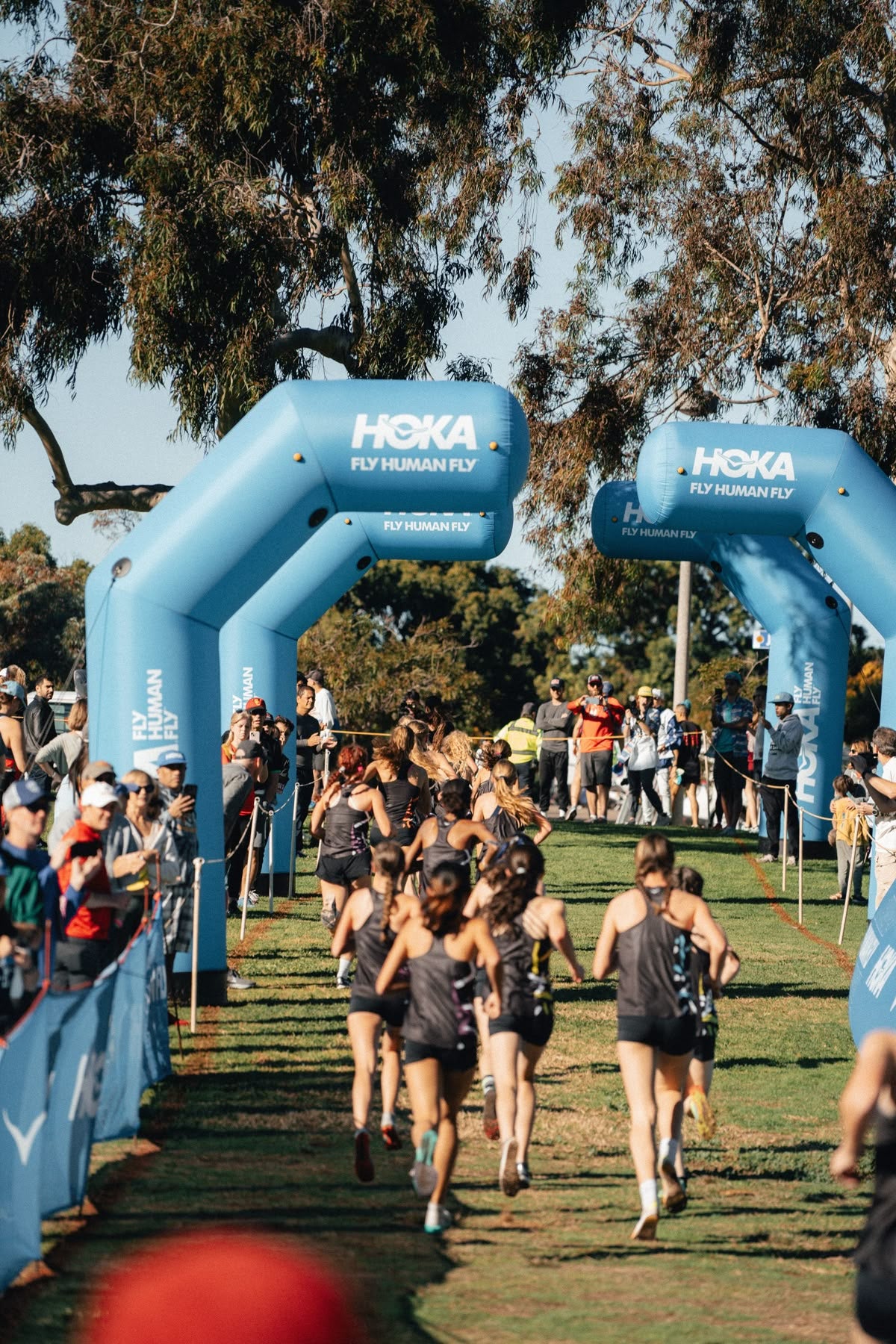 Schools Cross Country